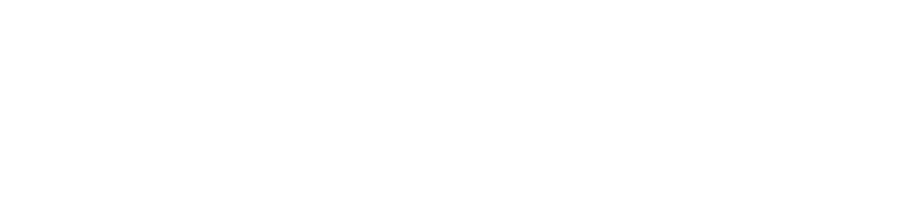 Captive Consultants